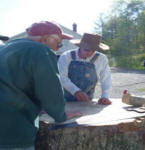 Tree Rings